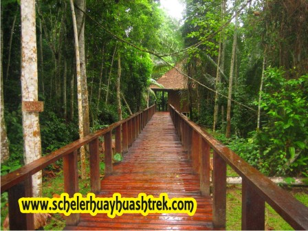Bienvenido a Posada Amazonas